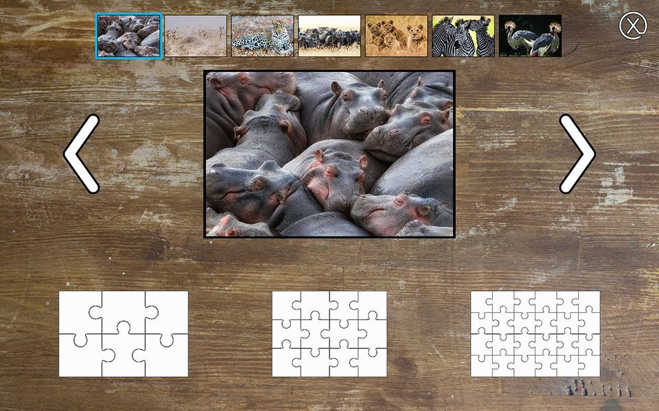 Active Floor Jigsaw Puzzle